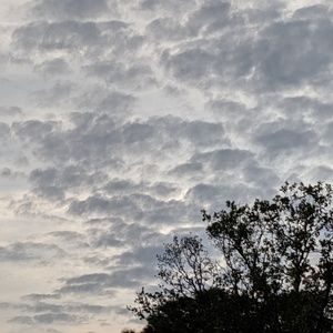 Meet your Posher, Marty